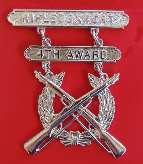 Rifle Expert Badge